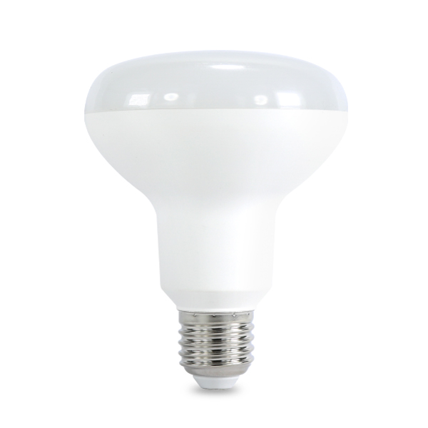 Ampoule LED blanche 12V 12W