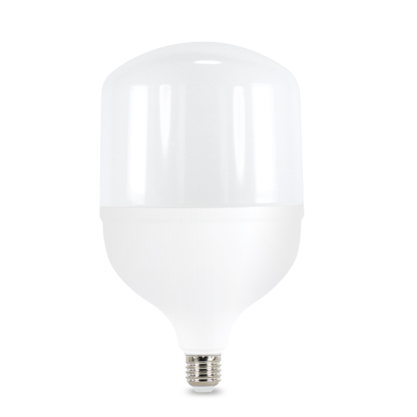 T30 Lampe LED Base E27 30W Lumière Blanche (6500k) - Lumina